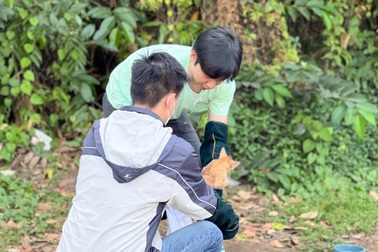 Nín thở canh bắt mèo hoang ở công viên TPHCM về triệt sản