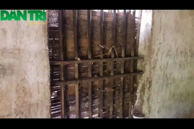 Bố nằm chờ chết, con viết đơn xin nghỉ học vì nhà hết gạo ăn