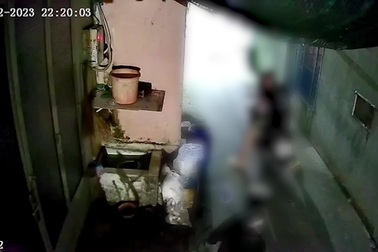 Đưa gia đình đi chơi Noel ở TPHCM, tiện tay trộm quà trang trí