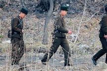 Binh sĩ Triều Tiên đào tẩu qua khu phi quân sự sang Hàn Quốc