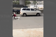 Thót tim cảnh tài xế xe ôm ở Hà Nội bị tàu lá cau rơi trúng người