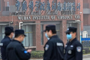 Chuyên gia WHO phát hiện điều bất thường khi điều tra Covid-19 ở Trung Quốc