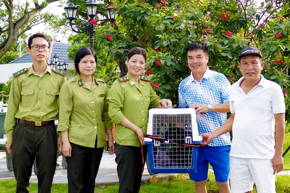 Cứu hộ cá thể vượn đen má hung đi lạc vào đầm nhà dân - 2 Cứu hộ cá thể vượn đen má hung đi lạc vào đầm nhà dân - 2