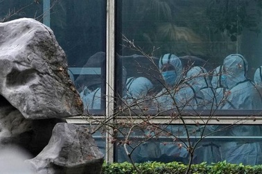 WHO lập tổ chuyên gia mới điều tra nguồn gốc Covid-19