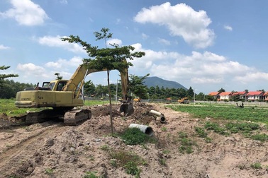 Bàn về phân lô bán nền: Đất bỏ hoang, mua xong lãi gấp 2, ai dại xây?