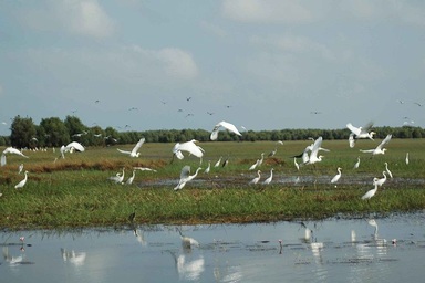 Điều diệu kỳ từ một vùng “đất chết”