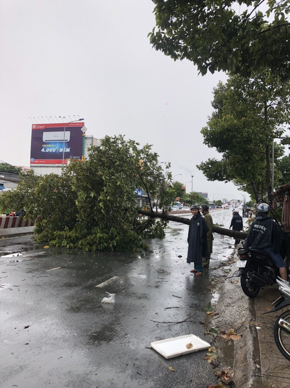 Mưa giông làm tốc mái, xiêu vẹo 17 căn nhà, bật gốc nhiều cây xanh - 4 Mưa giông làm tốc mái, xiêu vẹo 17 căn nhà, bật gốc nhiều cây xanh - 4