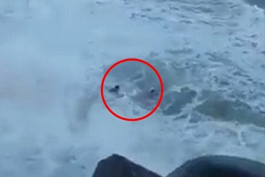 Mải chụp hình selfie, du khách bị sóng cuốn trôi ra biển và tử vong