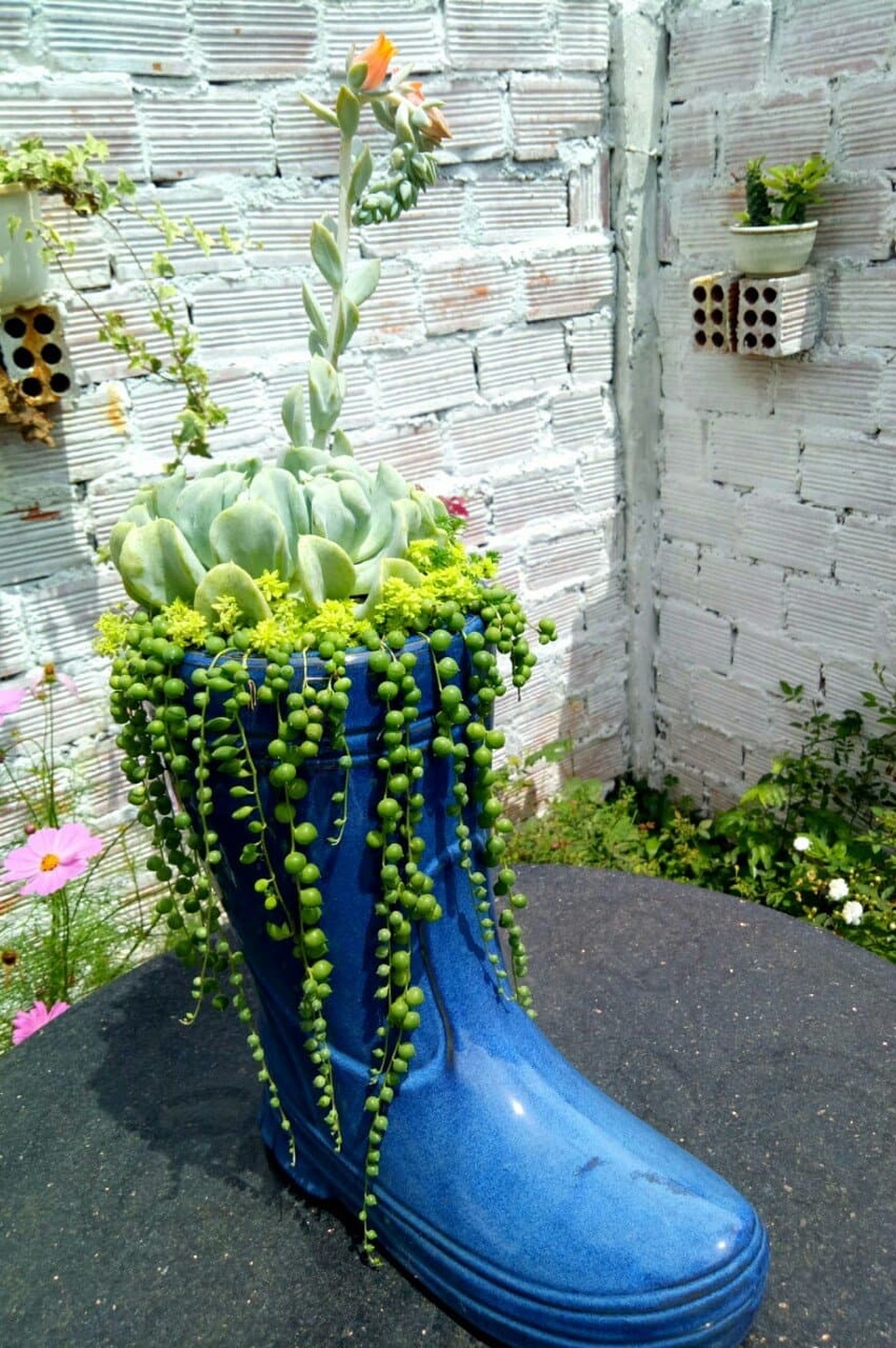 Độc đáo khu vườn ve chai của chị gái Lâm Đồng - 4 Độc đáo khu vườn ve chai của chị gái Lâm Đồng - 4