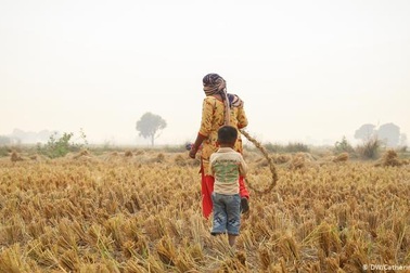 Cảnh báo ozone gây thiệt hại nghiêm trọng cho mùa màng