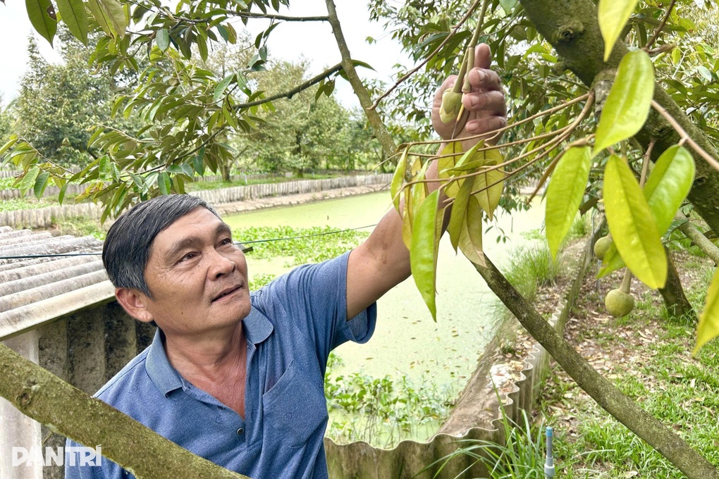 Bí quyết không sợ rớt giá của người nông dân Cần Thơ - 1