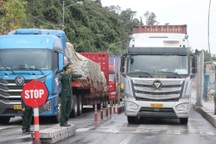 Chính phủ quyết định tạm dừng áp dụng Nghị định 46 đến hết ngày 15/4