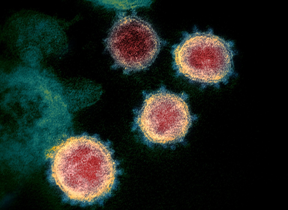 Phát hiện đột phá của Hàn Quốc về bản đồ gen virus corona mới - 1 Phát hiện đột phá của Hàn Quốc về bản đồ gen virus corona mới - 1