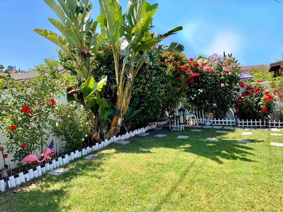 Cựu giảng viên trường Y làm khu vườn lưu giữ hương vị Việt trên đất Mỹ - 2 Cựu giảng viên trường Y làm khu vườn lưu giữ hương vị Việt trên đất Mỹ - 2