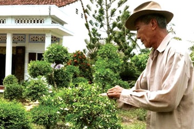 Phát tài nghề “ôsin cây cảnh”