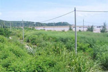 Vụ tiêu cực đất đai ở Đồ Sơn: Kháng nghị hủy án sơ thẩm