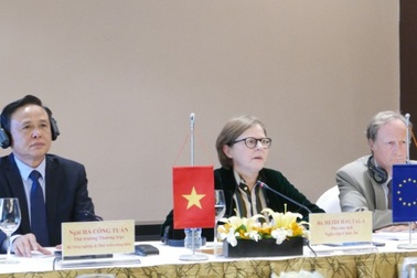 Việt Nam - EU bắt tay chống khai thác gỗ bất hợp pháp