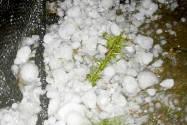 Mưa đá đường kính 10 - 15 cm dồn dập dội xuống Tuyên Quang