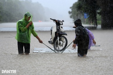 Thiệt hại do bão Kajiki