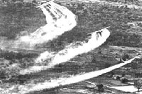 Mỹ chiếu phóng sự hậu quả chất độc da cam ở Việt Nam