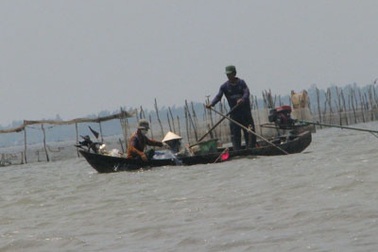 Phát động cuộc thi ảnh về biến đổi khí hậu vùng ĐBSCL