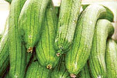 Giải khát và trị bệnh với quả mướp