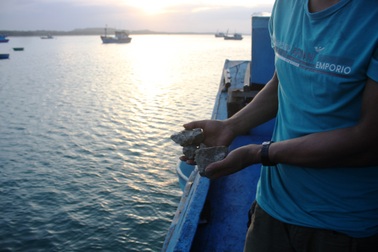 Tàu cá của ngư dân bị đâm va, ném đá