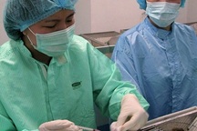 Việt Nam tiêm thử nghiệm vắc xin Covid-19: Chuột khỏe mạnh sau 10 ngày