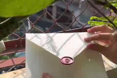 Minh Tú hướng dẫn cách ươm mầm từ thiêp cưới của mình