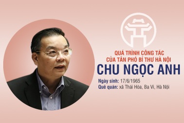 Chân dung tân Phó Bí thư Thành ủy Hà Nội Chu Ngọc Anh
