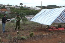 Khởi tố đối tượng sát hại vợ, giấu xác tại vườn hồng gây rúng động Đà Lạt