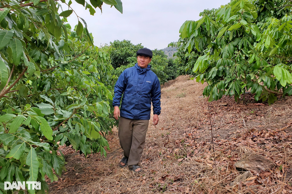 Cả bản giật mình khi người đàn ông khùng phá lời nguyền, bắt đá nở hoa - 1 Cả bản giật mình khi người đàn ông khùng phá lời nguyền, bắt đá nở hoa - 1