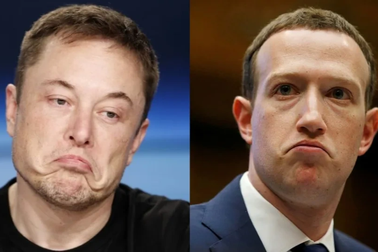 Trận đấu võ tự do giữa Mark Zuckerberg và Elon Musk sẽ thu về 100 tỷ USD