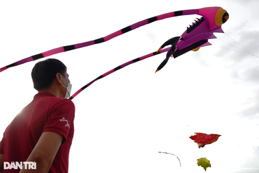 Mục sở thị những con diều khổng lồ bay trên bầu trời biển Hà Tiên