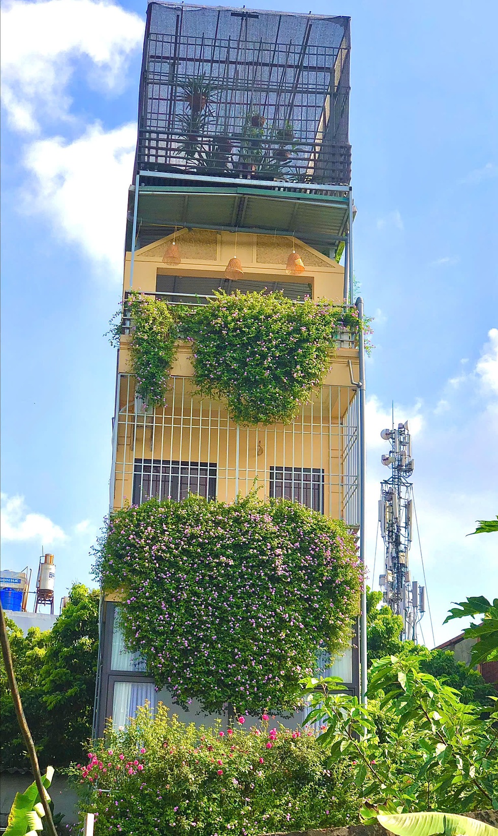 Bán nhà mặt phố Hà Nội, vợ chồng mua 1.800m2 đất núi dựng nhà dưỡng già - 4
