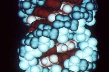 Các nhà khoa học tìm thấy bằng chứng cho học thuyết khác về cách phát sinh sự sống