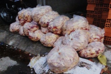 Phát hiện hàng trăm ký đầu gà, thịt heo thối 