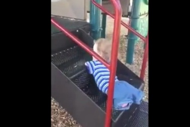 "Nhóc không tay không chân nhường ti giả cho em" lại đốn tim dân mạng vì nỗ lực chơi cầu trượt