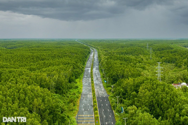 TPHCM đề cử rừng Cần Giờ thành khu Ramsar