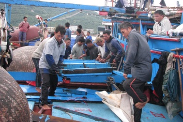 Đề nghị điều tra, làm rõ tàu đã đâm tàu cá Quảng Ngãi