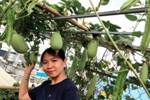 Giấu chồng làm vườn rau sạch, vợ đảm gây bất ngờ với thành quả trên mái tôn