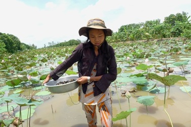 Bạn đọc giúp em Quỳnh Như đi học trở lại