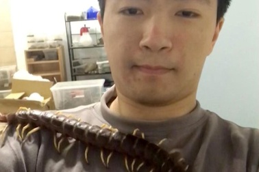 Kinh dị cảnh rết khổng lồ bò trên người thanh niên