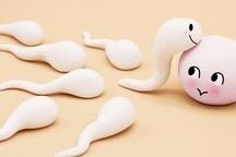 Chế độ ăn nào giúp quý ông có chất lượng tinh trùng tốt nhất?