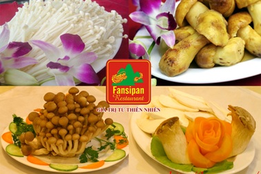 Lẩu nấm thiên nhiên - Món ngon cho người sành ăn 