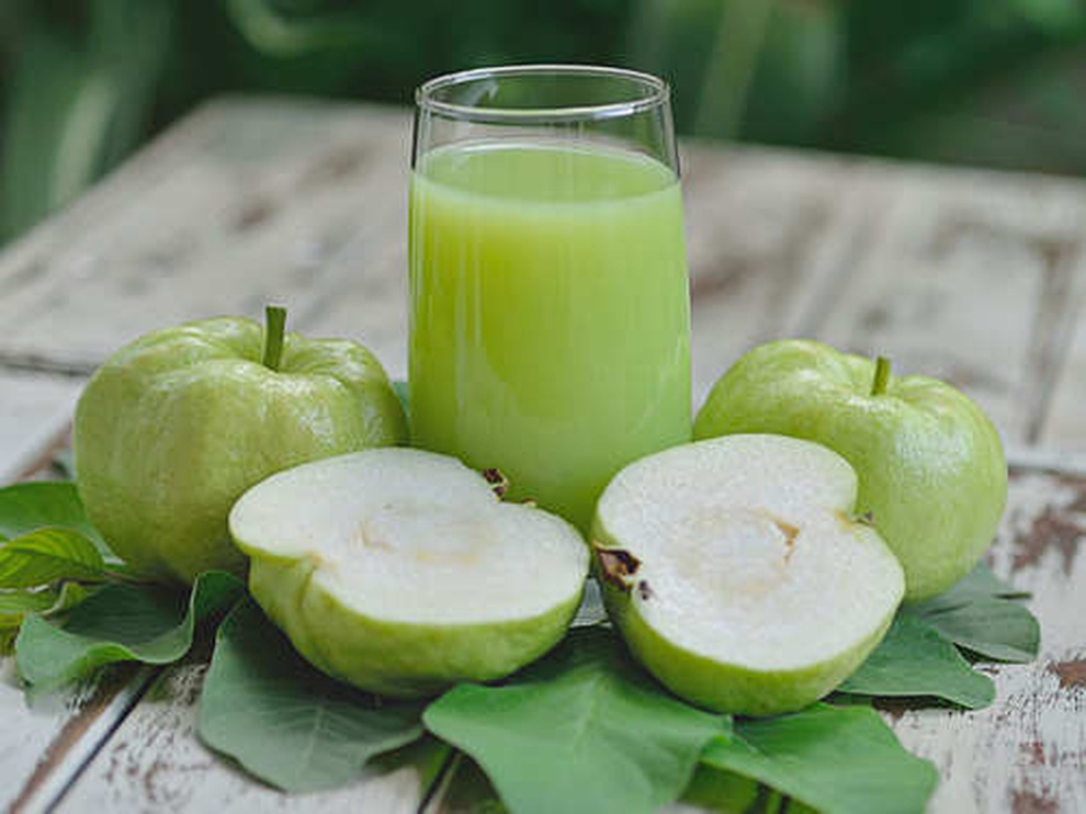 Những lợi ích sức khỏe tuyệt vời của quả ổi - 2 Những lợi ích sức khỏe tuyệt vời của quả ổi - 2