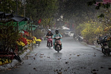 Người giao hoa Tết