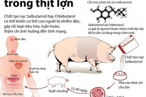 Chất tạo nạc: Cần kiểm soát chặt chẽ!