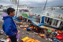 Quảng Ninh cấp 180 tỷ đồng khắc phục hậu quả bão Yagi