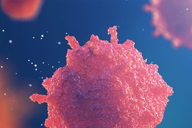 Tìm ra phương pháp mới hỗ trợ điều trị bệnh tiểu đường